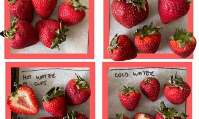 How to Wash Strawberries